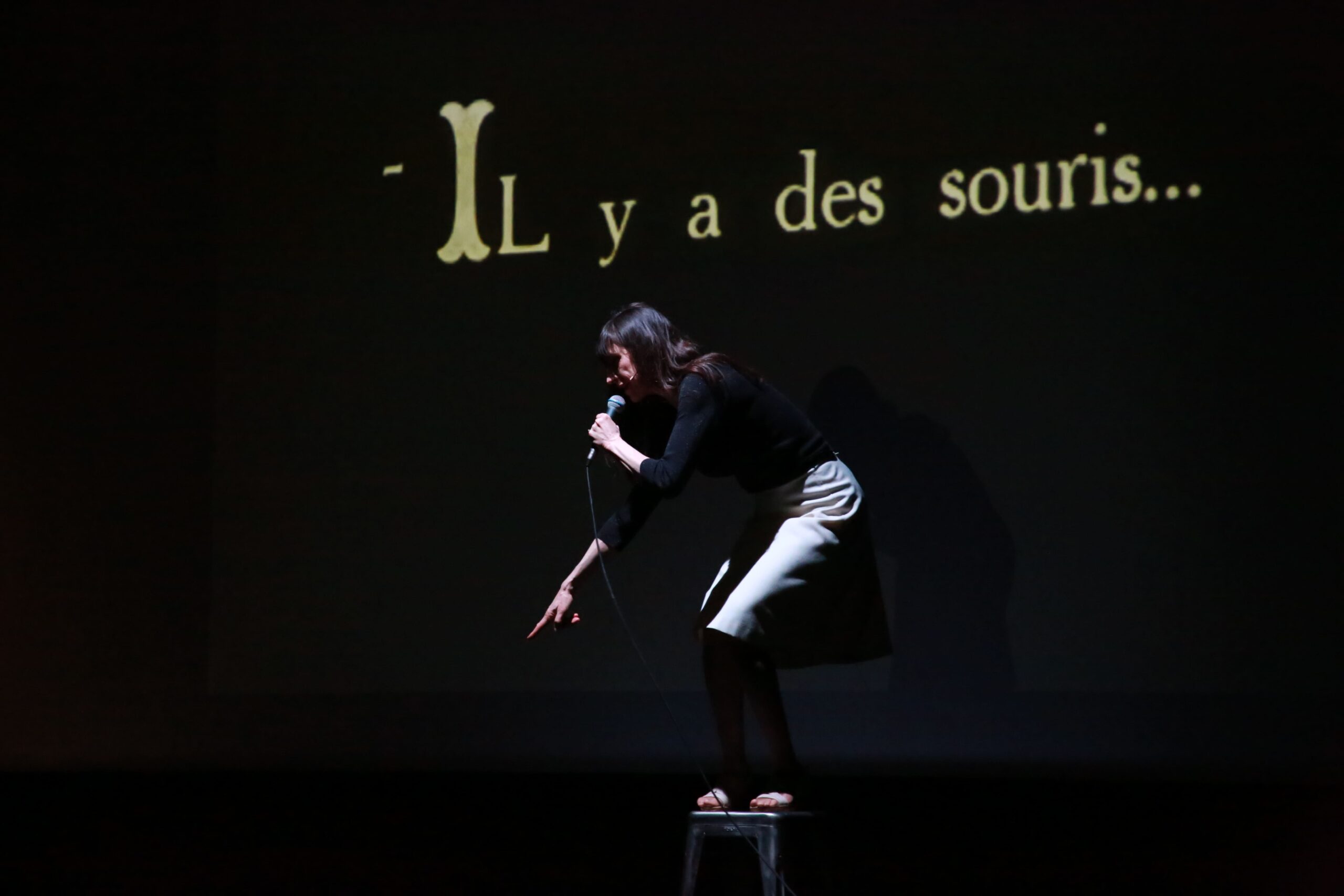 une comédienne sur un tabouret qui pointe le sol avec un écran derrière elle, où est écrit " Il y a des souris !"